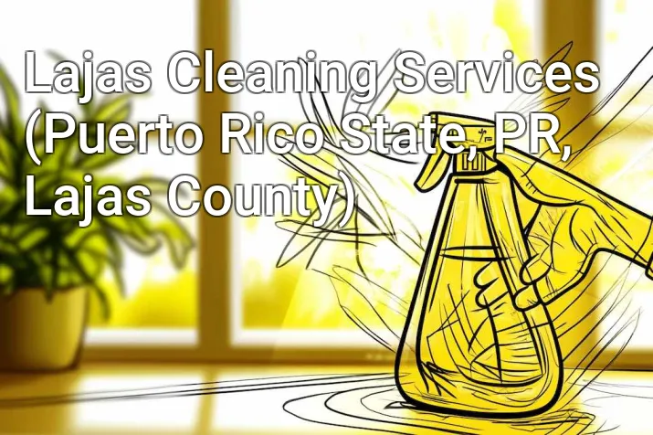 Lajas Cleaning Services (Puerto Rico State, PR, Lajas County)