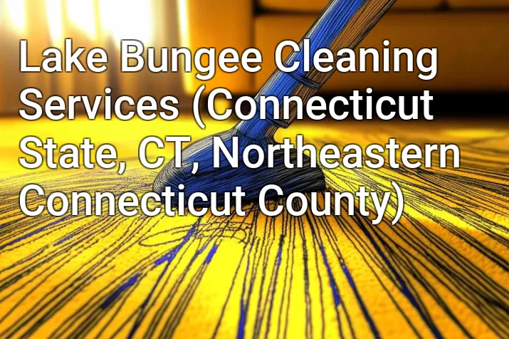 Lake Bungee Cleaning Services (Connecticut State, CT, Northeastern Connecticut County)
