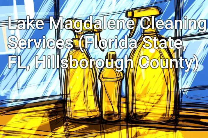 Lake Magdalene Cleaning Services (Florida State, FL, Hillsborough County)