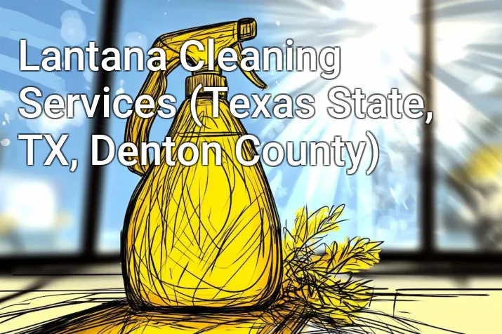 Lantana Cleaning Services (Texas State, TX, Denton County)