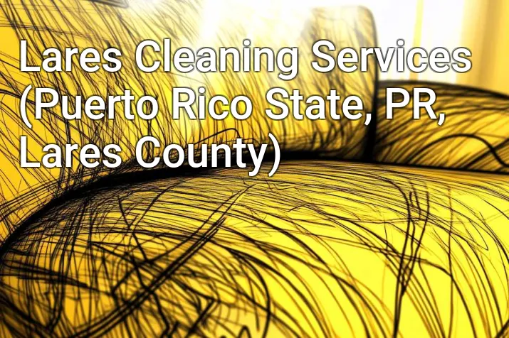 Lares Cleaning Services (Puerto Rico State, PR, Lares County)