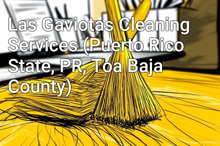 Las Gaviotas Cleaning Services (Puerto Rico State, PR, Toa Baja County)