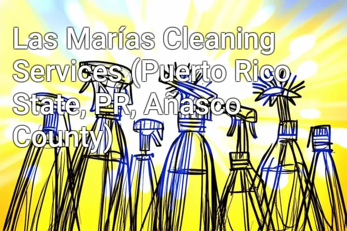 Las Marías Cleaning Services (Puerto Rico State, PR, Añasco County)