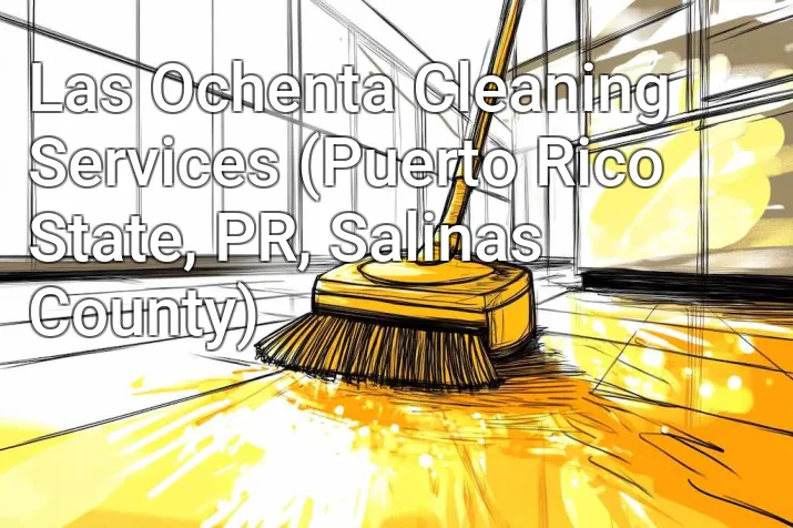 Las Ochenta Cleaning Services (Puerto Rico State, PR, Salinas County)