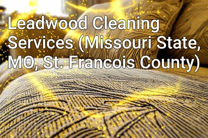 Leadwood Cleaning Services (Missouri State, MO, St. Francois County)