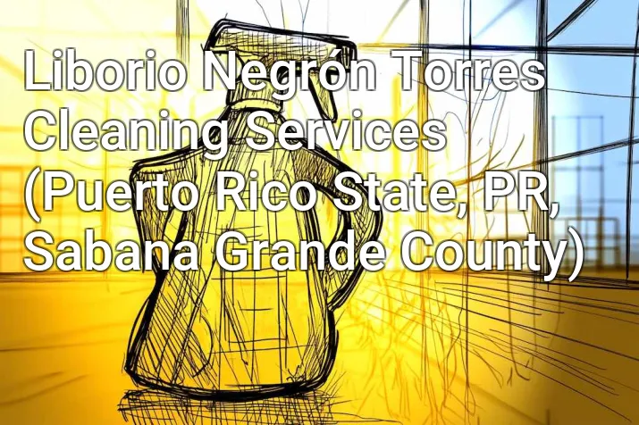 Liborio Negrón Torres Cleaning Services (Puerto Rico State, PR, Sabana Grande County)