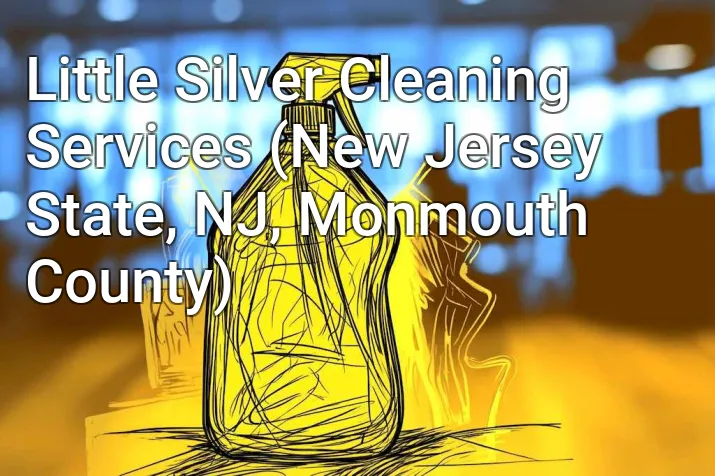 Little Silver Cleaning Services (New Jersey State, NJ, Monmouth County)