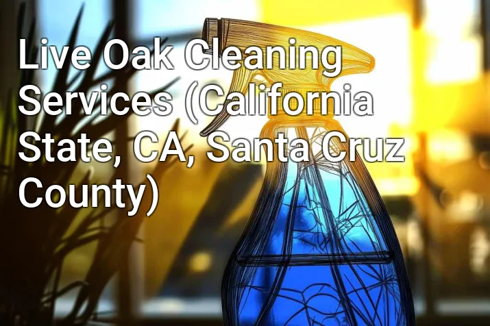 Live Oak Cleaning Services (California State, CA, Santa Cruz County)