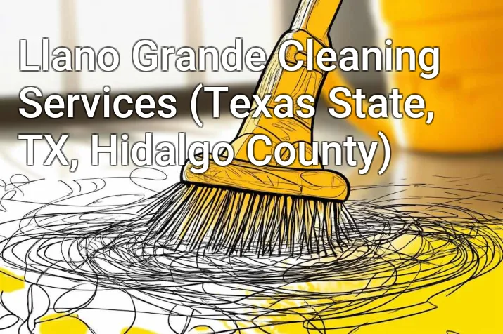 Llano Grande Cleaning Services (Texas State, TX, Hidalgo County)