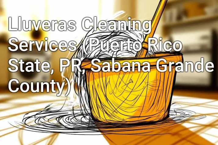 Lluveras Cleaning Services (Puerto Rico State, PR, Sabana Grande County)