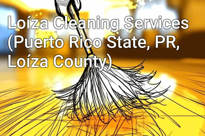 Loíza Cleaning Services (Puerto Rico State, PR, Loíza County)