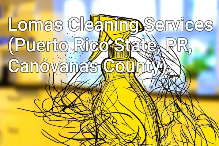 Lomas Cleaning Services (Puerto Rico State, PR, Canóvanas County)