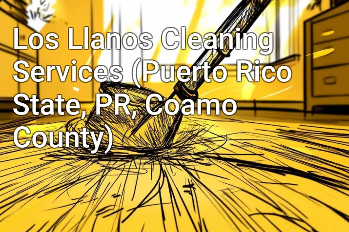 Los Llanos Cleaning Services (Puerto Rico State, PR, Coamo County)