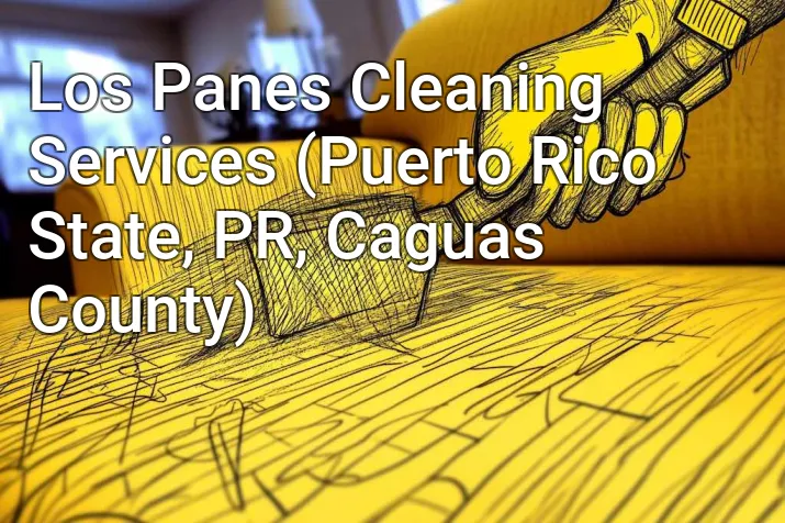 Los Panes Cleaning Services (Puerto Rico State, PR, Caguas County)
