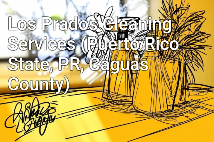 Los Prados Cleaning Services (Puerto Rico State, PR, Caguas County)