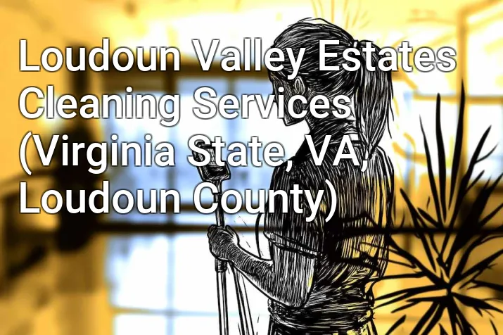 Loudoun Valley Estates Cleaning Services (Virginia State, VA, Loudoun County)