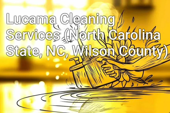 Lucama Cleaning Services (North Carolina State, NC, Wilson County)