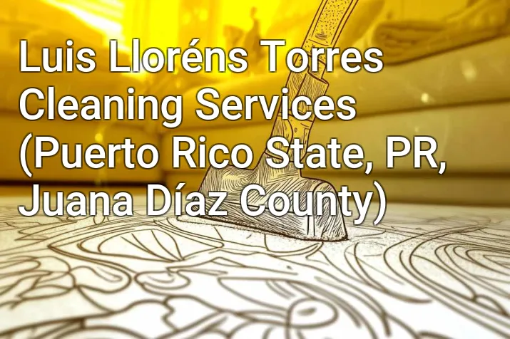 Luis Lloréns Torres Cleaning Services (Puerto Rico State, PR, Juana Díaz County)