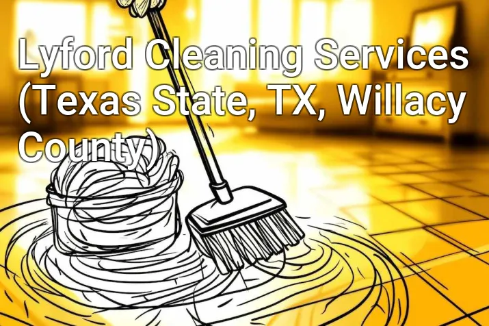 Lyford Cleaning Services (Texas State, TX, Willacy County)