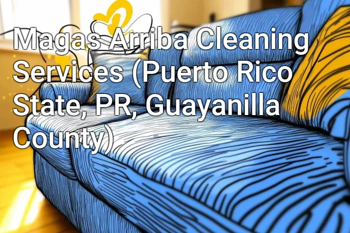 Magas Arriba Cleaning Services (Puerto Rico State, PR, Guayanilla County)