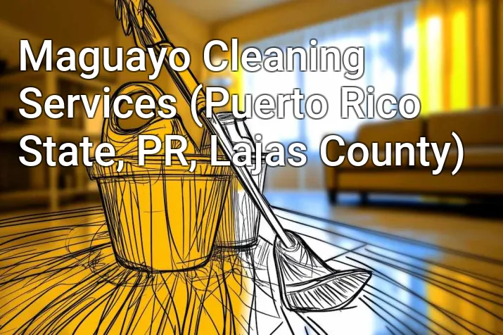 Maguayo Cleaning Services (Puerto Rico State, PR, Lajas County)