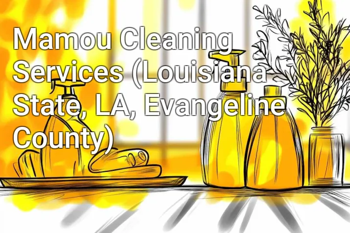 Mamou Cleaning Services (Louisiana State, LA, Evangeline County)