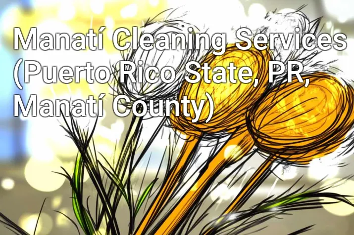 Manatí Cleaning Services (Puerto Rico State, PR, Manatí County)