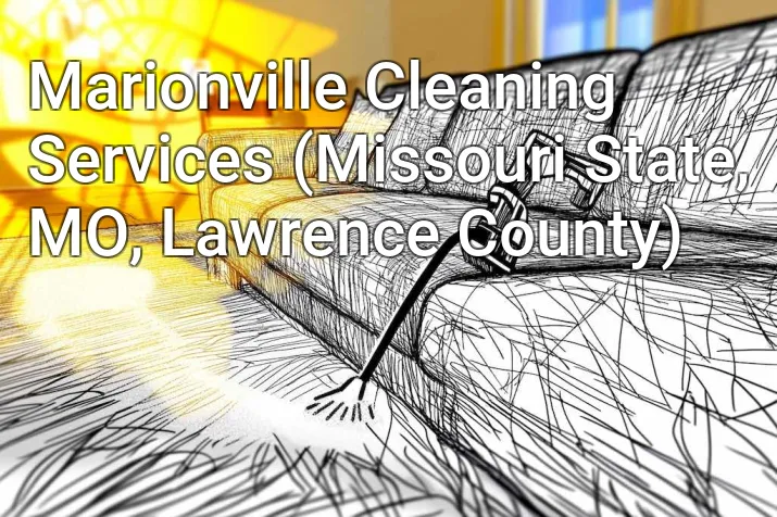 Marionville Cleaning Services (Missouri State, MO, Lawrence County)