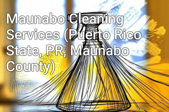 Maunabo Cleaning Services (Puerto Rico State, PR, Maunabo County)