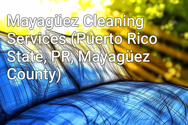 Mayagüez Cleaning Services (Puerto Rico State, PR, Mayagüez County)