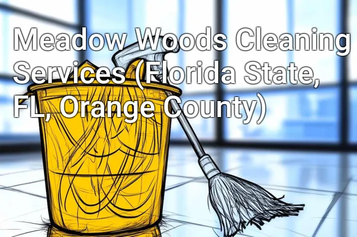 Meadow Woods Cleaning Services (Florida State, FL, Orange County)