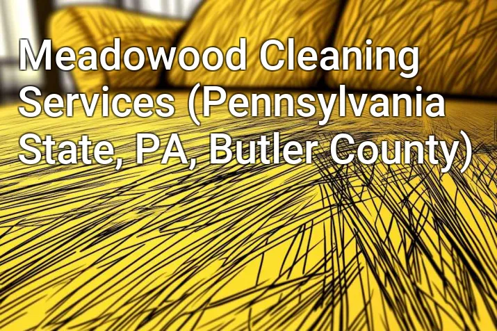 Meadowood Cleaning Services (Pennsylvania State, PA, Butler County)