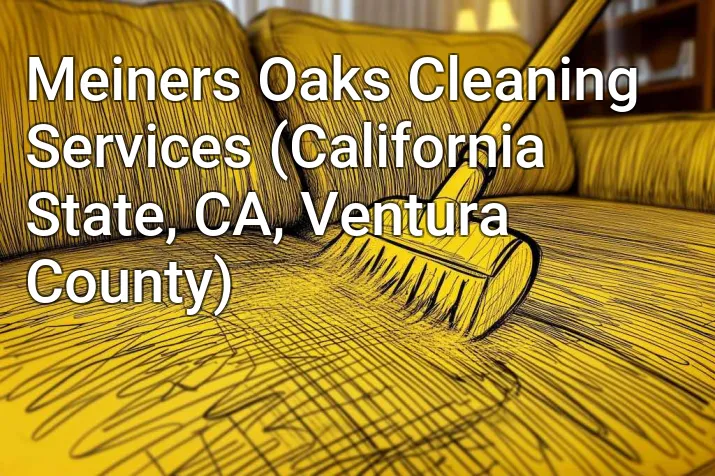 Meiners Oaks Cleaning Services (California State, CA, Ventura County)