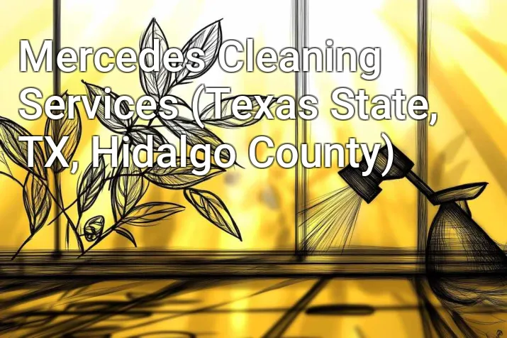 Mercedes Cleaning Services (Texas State, TX, Hidalgo County)