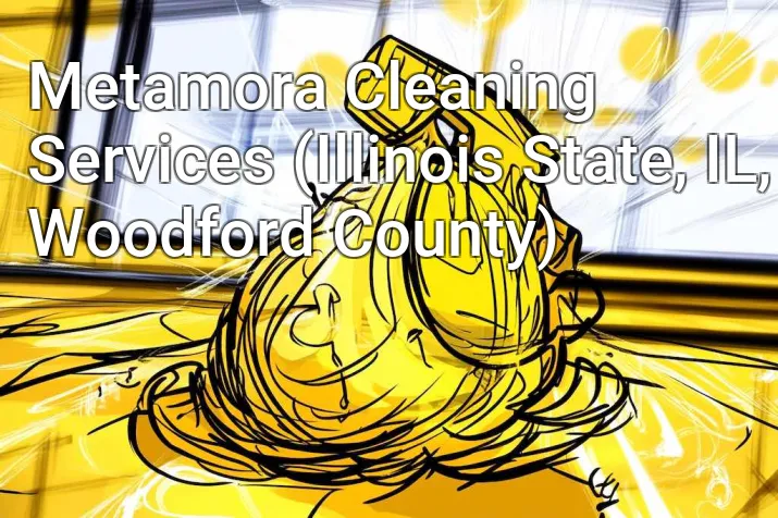 Metamora Cleaning Services (Illinois State, IL, Woodford County)