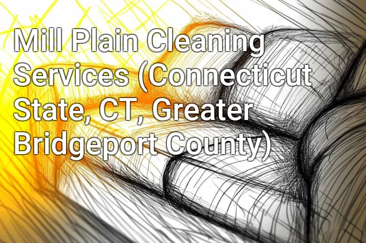 Mill Plain Cleaning Services (Connecticut State, CT, Greater Bridgeport County)
