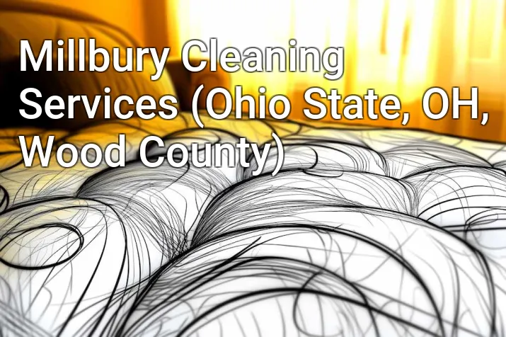 Millbury Cleaning Services (Ohio State, OH, Wood County)