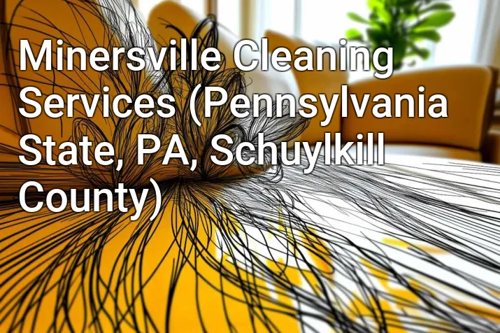 Minersville Cleaning Services (Pennsylvania State, PA, Schuylkill County)