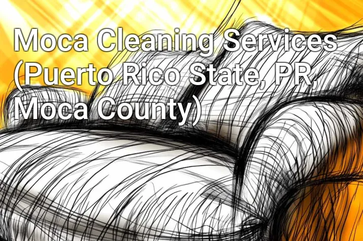 Moca Cleaning Services (Puerto Rico State, PR, Moca County)