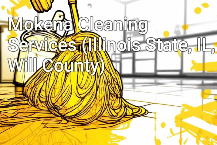 Mokena Cleaning Services (Illinois State, IL, Will County)