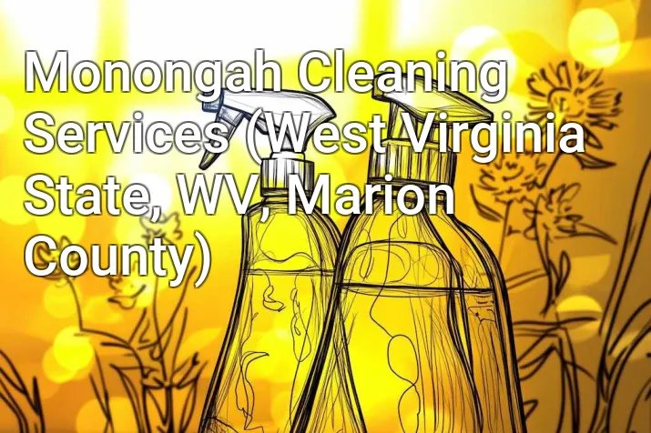 Monongah Cleaning Services (West Virginia State, WV, Marion County)