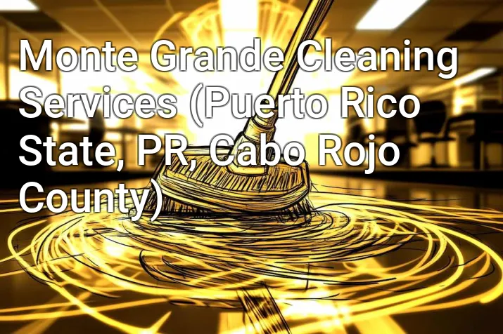 Monte Grande Cleaning Services (Puerto Rico State, PR, Cabo Rojo County)