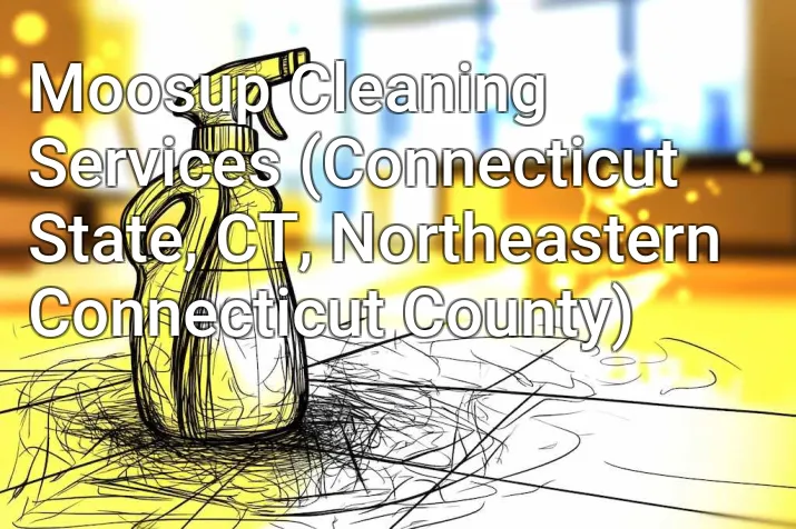 Moosup Cleaning Services (Connecticut State, CT, Northeastern Connecticut County)