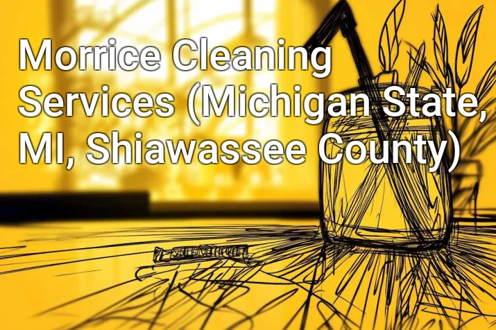 Morrice Cleaning Services (Michigan State, MI, Shiawassee County)