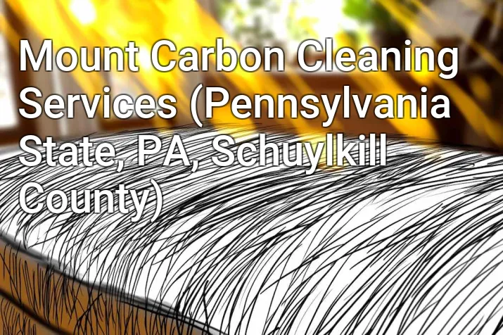 Mount Carbon Cleaning Services (Pennsylvania State, PA, Schuylkill County)