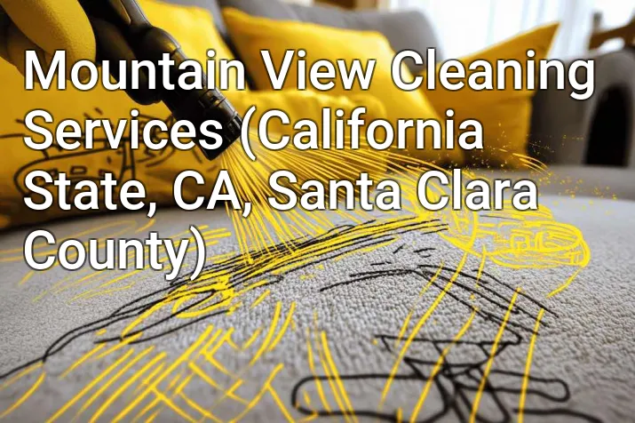 Mountain View Cleaning Services (California State, CA, Santa Clara County)