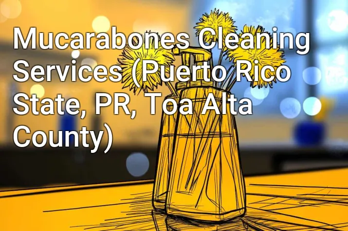 Mucarabones Cleaning Services (Puerto Rico State, PR, Toa Alta County)