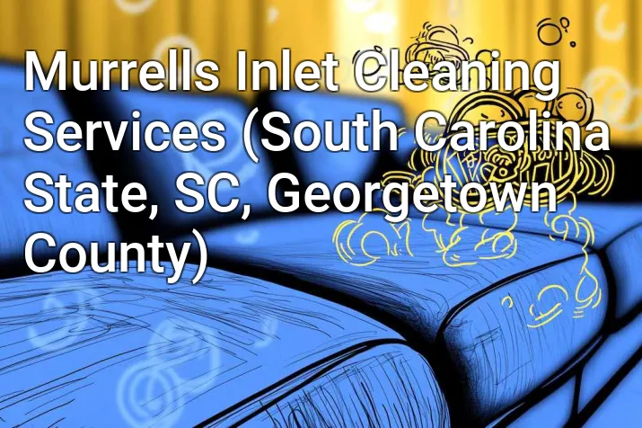Murrells Inlet Cleaning Services (South Carolina State, SC, Georgetown County)