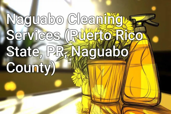 Naguabo Cleaning Services (Puerto Rico State, PR, Naguabo County)