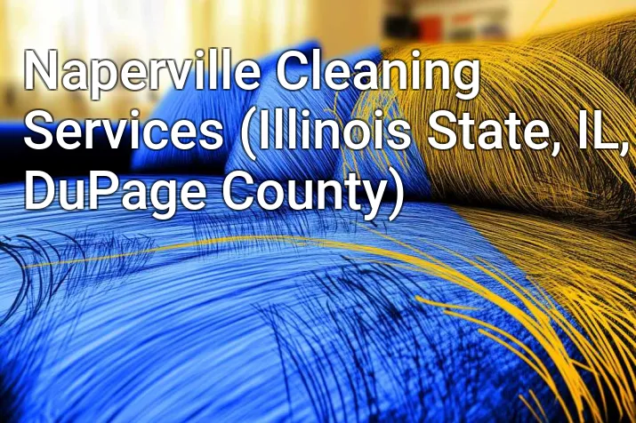 Naperville Cleaning Services (Illinois State, IL, DuPage County)